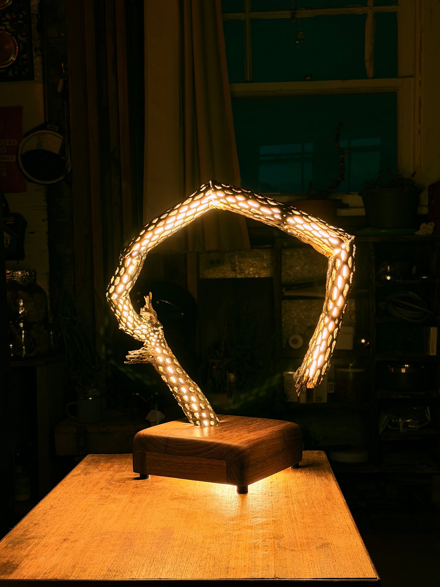 Cactus Lamp
