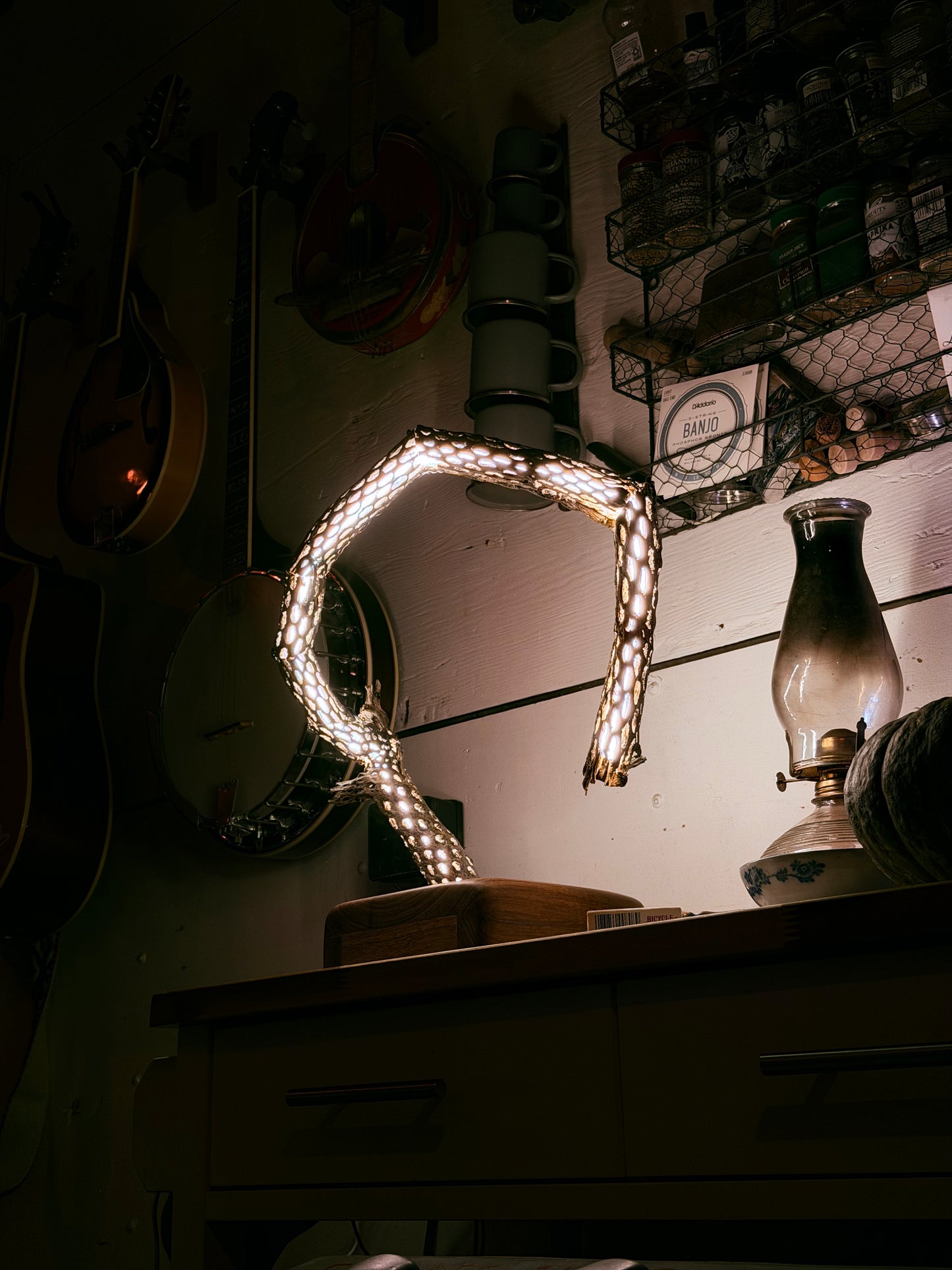 Cactus Lamp