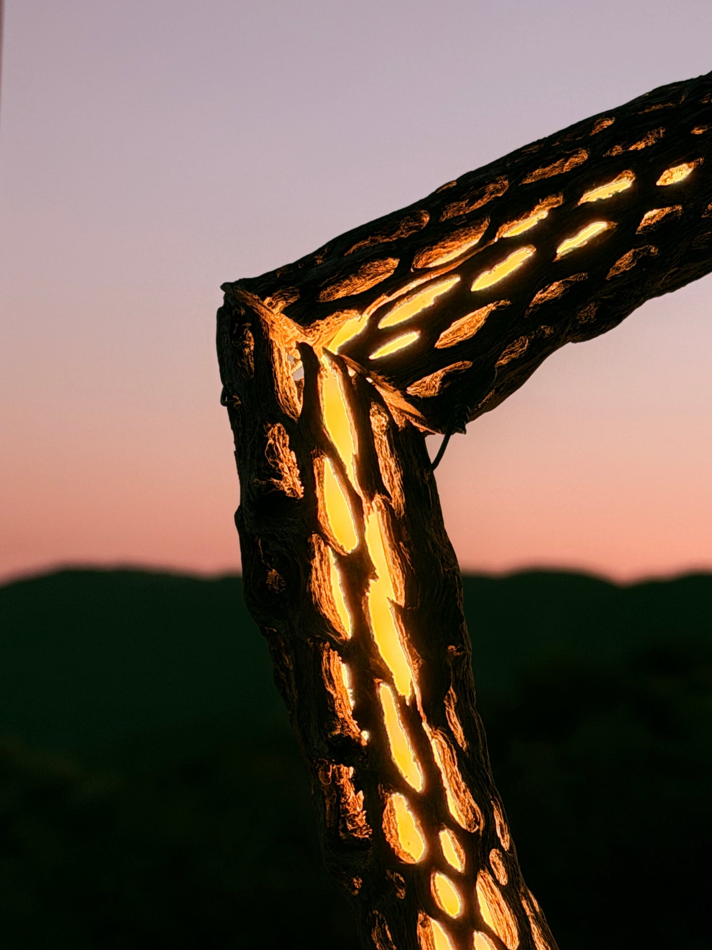 Cactus Lamp