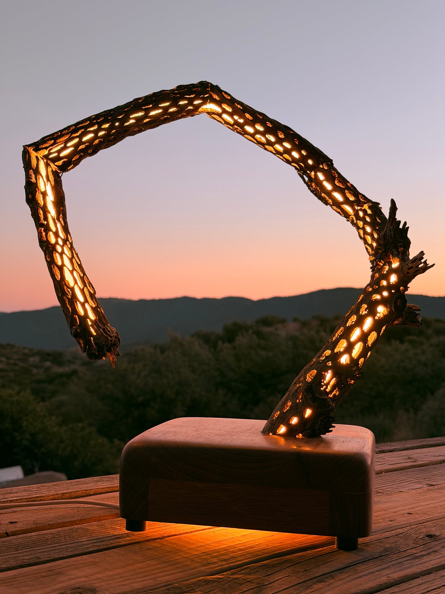 Cactus Lamp