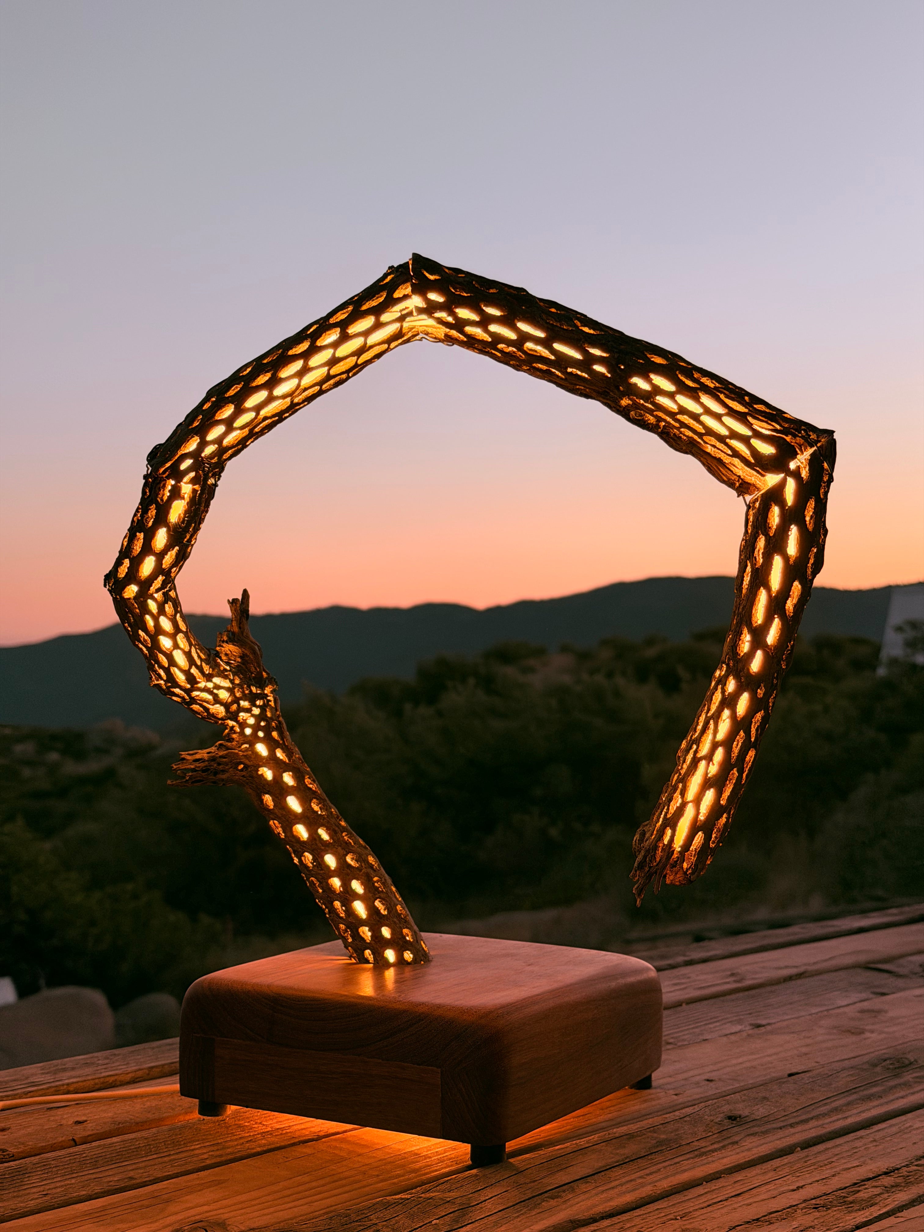 Cactus Lamp – I Can Do That