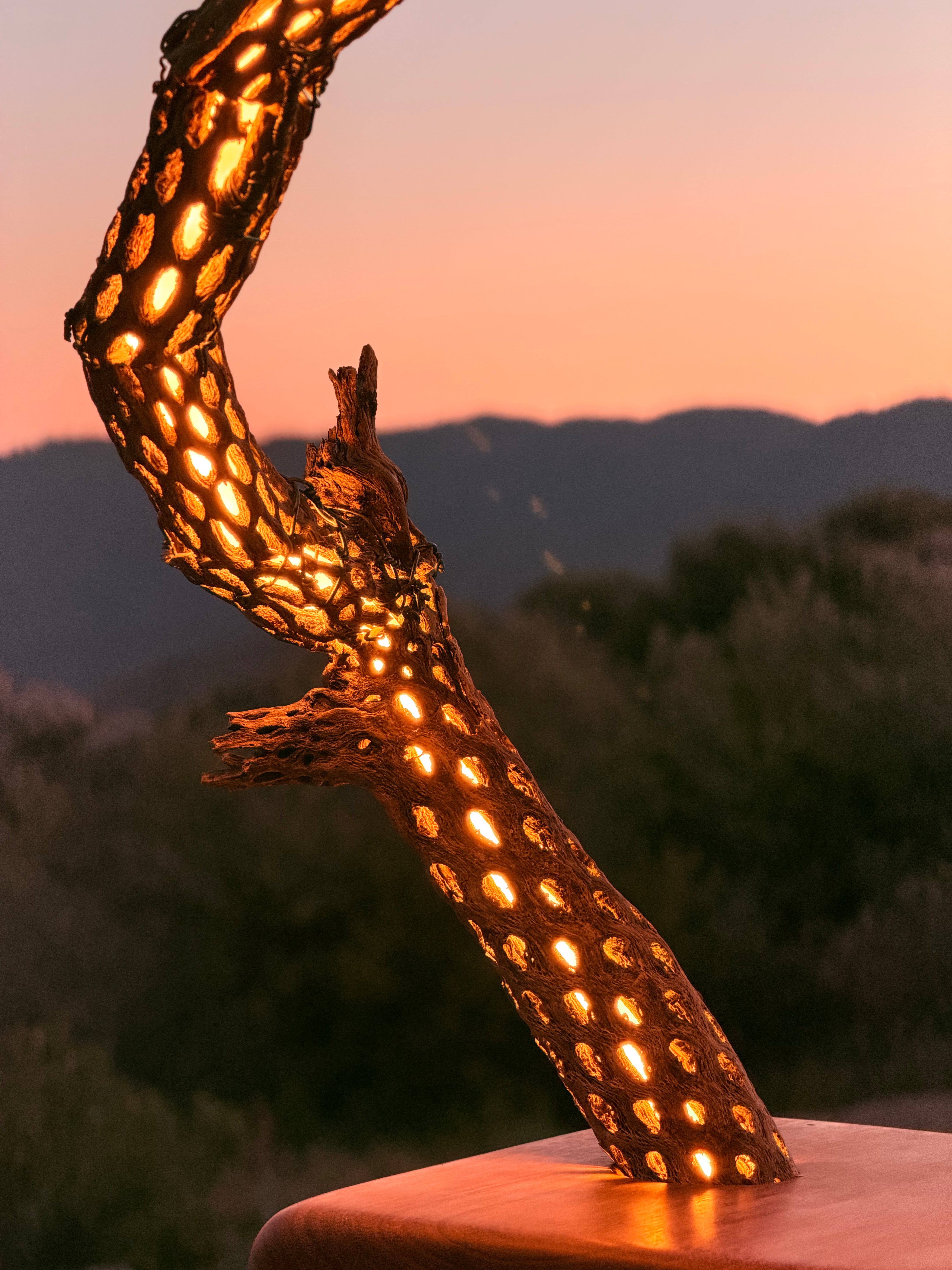 Cactus Lamp – I Can Do That
